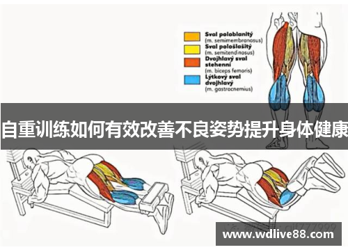 自重训练如何有效改善不良姿势提升身体健康